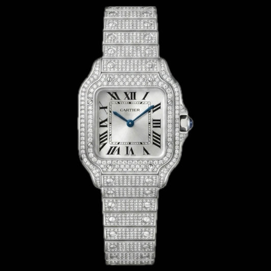 Cartier Santos Size S